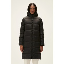 Bad Bear Wayfarer Puffer Night