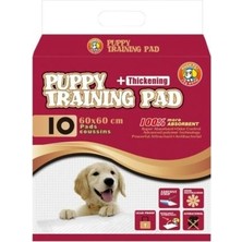 Huspet Çiş Pedi 60 x 60 cm