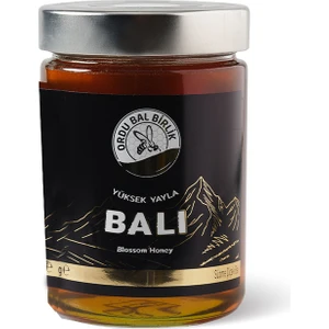 Ordu Bal Birlik Yüksek Yayla Balı 850 gr