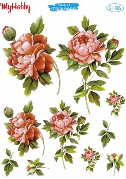 St 065 Pembe Gül Desenli Sulu Transfer 25X35