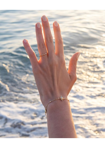 Altın Şimal Yıldızı