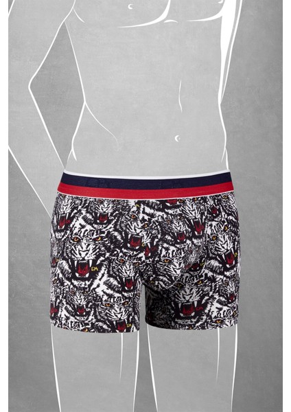 Erkek Çocuk Modal Kaplan Baskılı Normal Paça Renkli Boxer 610