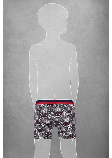 Erkek Çocuk Modal Kaplan Baskılı Normal Paça Renkli Boxer 610 fiyatları