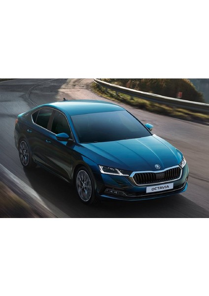 Octavia Bagaj Havuzu 2021-2023 Uyumlu Kauçuk N11.4576 fiyatları