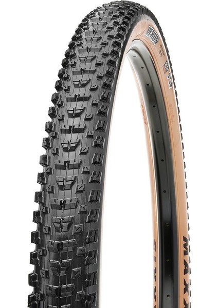 MTB REKON 29x2.40 WT AMBER YANAK KATLANIR DIŞ LASTİK