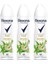 Kadın Deodorant Natural Fresh Bambu ve Aloe Vera 150 ml x 3 Adet 1