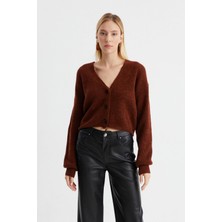 Alexander Gardi V Yaka Düğmeli Triko Hırka (B22-5753)