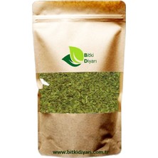 Bitki Diyarı Nane Baharat 1 kg