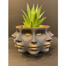 Lizzart Workshop Çok Yüzlü Saksı 10 x 15 Polyester El Boyama LIZZART1048