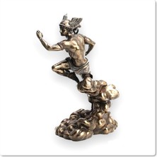 Rakun Home Hermes (Zeus’un Habercisi) Biblo