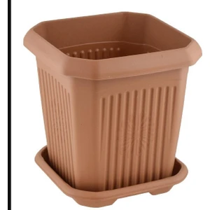 Hak 7 No Kare Saksı