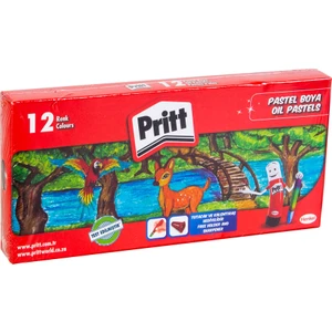 Pastel Boya 12 Renk Karton Kutu 1048061 1900 0644