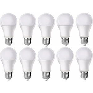 Full Reyon 10 Adet 10 Watt Enerji Tasarruflu Beyaz Işık LED Ampul