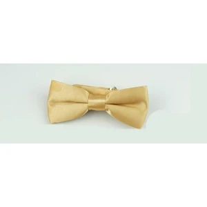 Gold Çocuk Boy Düz Renk Saten Papyon - Cp-51