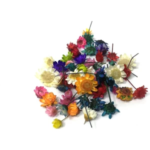 Mini Kurutulmuş Çiçekler - Mix