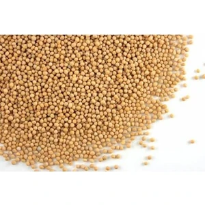 Hardal Tohumu (Sarı) 1 kg
