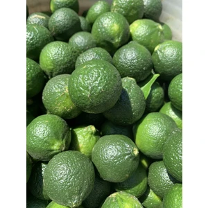 Bodrum Yadigarı Yeşil Bodrum Mandalini (3 Kg) Satsuma