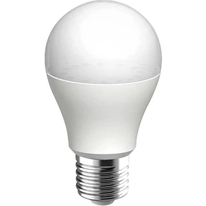 Horoz Elektrik 9W LED Ampul E27 Duylu 6400K Beyaz Işık Premier 5'li Paket