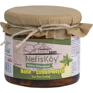 Nane Limon Reçeli 450 gr
