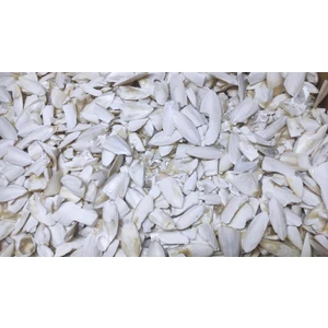 Kalamar Kemiği Kırık Toz 500 gr