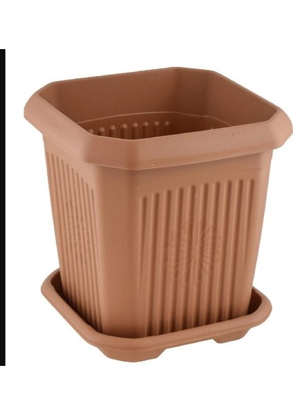 Hak 7 No Kare Saksı