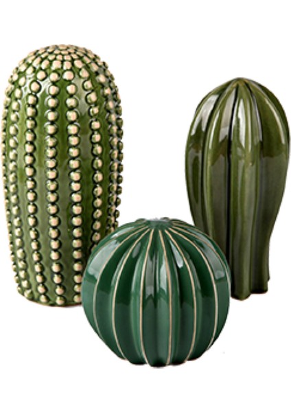 3 Lü Dekoratif Kaktüs modelleri