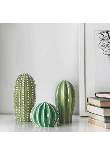 3 Lü Dekoratif Kaktüs