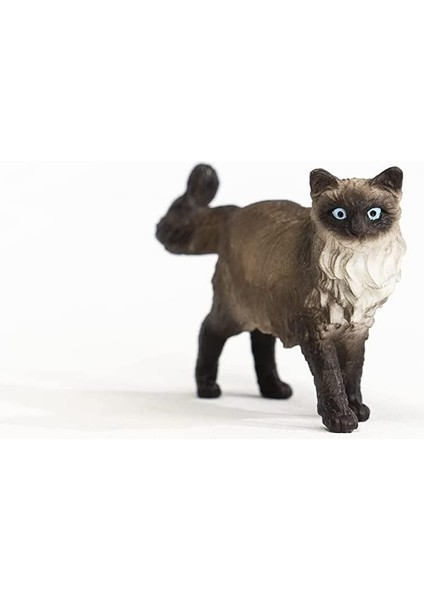 Schleich Ragdoll Kedi 13940