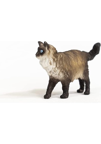 Schleich Ragdoll Kedi 13940