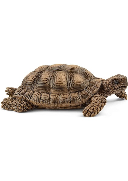 Schleich Kaplumbağa Yuvası 42506 modelleri