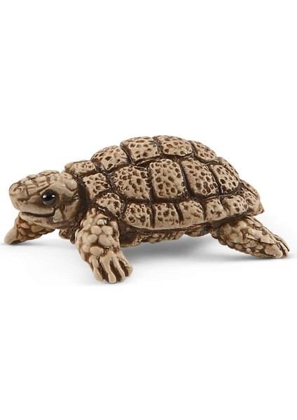 Schleich Kaplumbağa Yuvası 42506 fırsatları