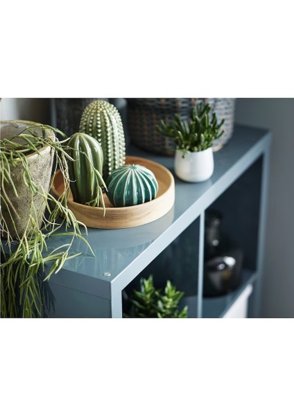 3 Lü Dekoratif Kaktüs indirimleri