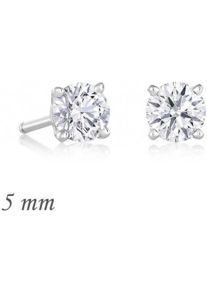 Gümüş Yuvarlak Tek Taş Zirkon Küpe - 5 mm