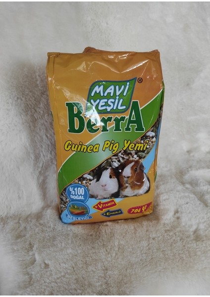 Berra Guineapig Yemi