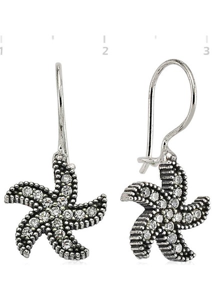 Gümüş Deniz Yıldızı Sallantılı Küpe fiyatları