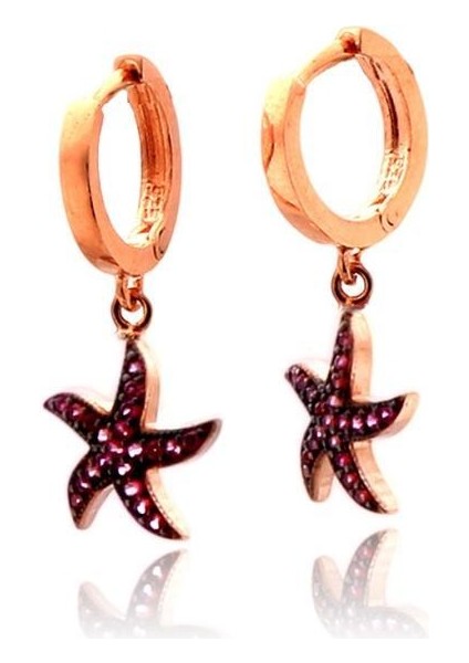 925 Ayar Zirkon Taşlı Deniz Yıldızı Gümüş Küpe