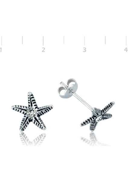 Gümüş Deniz Yıldızı Çivili Küpe