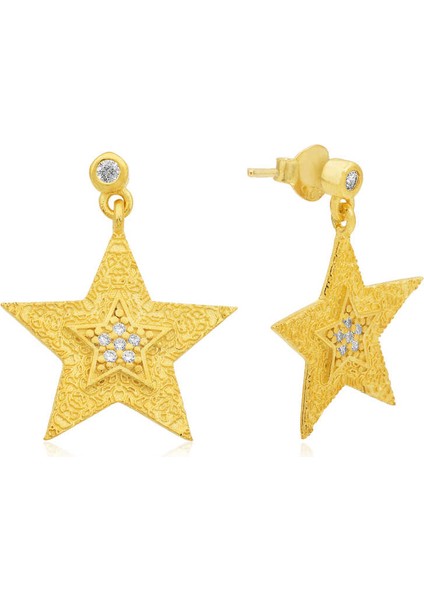 Gümüş Yıldız Küpe fiyatları