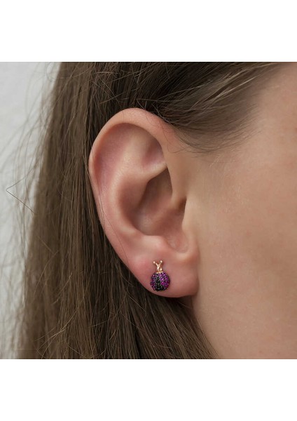 Gümüş Uğur Böceği Küpe fiyatları