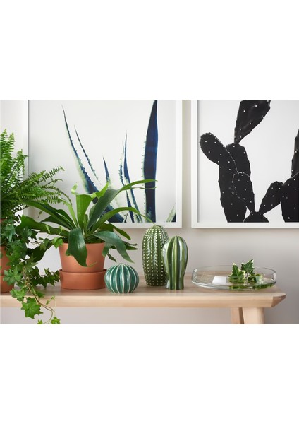 3 Lü Dekoratif Kaktüs fiyatları