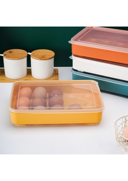 Büyük Kapasiteli Yumurta Saklama Kutusu (Yurt Dışından) modelleri