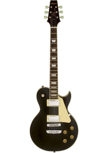 Pro Iı PE350STDAGBK Elektro Gitar Hh Rw