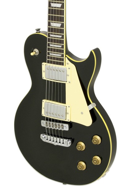 Pro Iı PE350STDAGBK Elektro Gitar Hh Rw