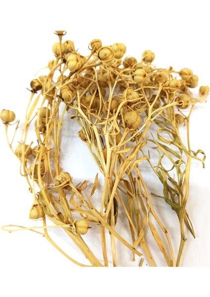 Üzerlik 1 Demet fiyatları