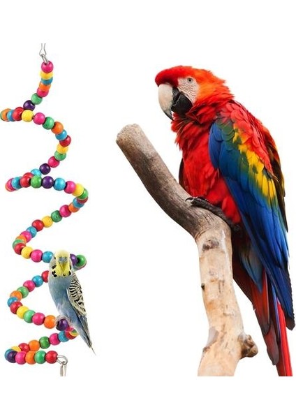 10 Paketler Kuş Salıncak Çiğneme Oyuncaklar Papağan Hamak Çan Oyuncaklar Papağan Kafes Oyuncak Kuş Tepesi Ahşap Boncuk ile Küçük Parakeets | Kuş Oyuncakları (Yurt Dışından)