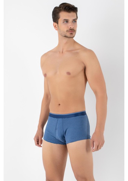 Dennis Cotton Erkek Boxer