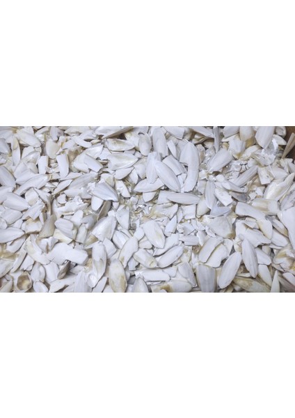 Kalamar Kemiği Kırık Toz 500 gr