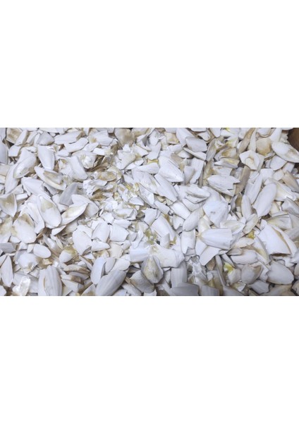 Kalamar Kemiği Kırık Toz 500 gr