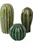 3 Lü Dekoratif Kaktüs 3