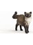 Schleich Ragdoll Kedi 13940 2